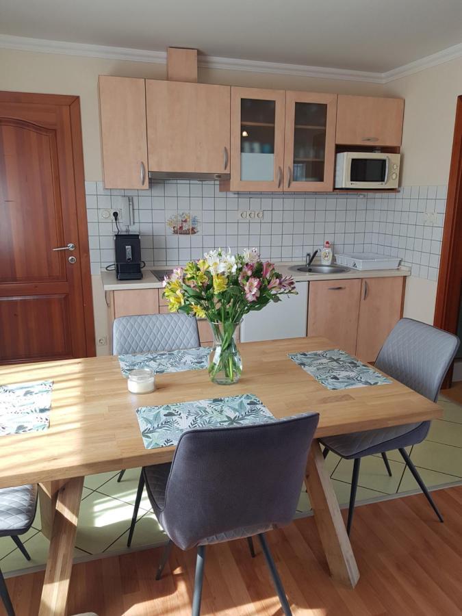Elek Apartmanhaz ハイデゥソボスロー エクステリア 写真